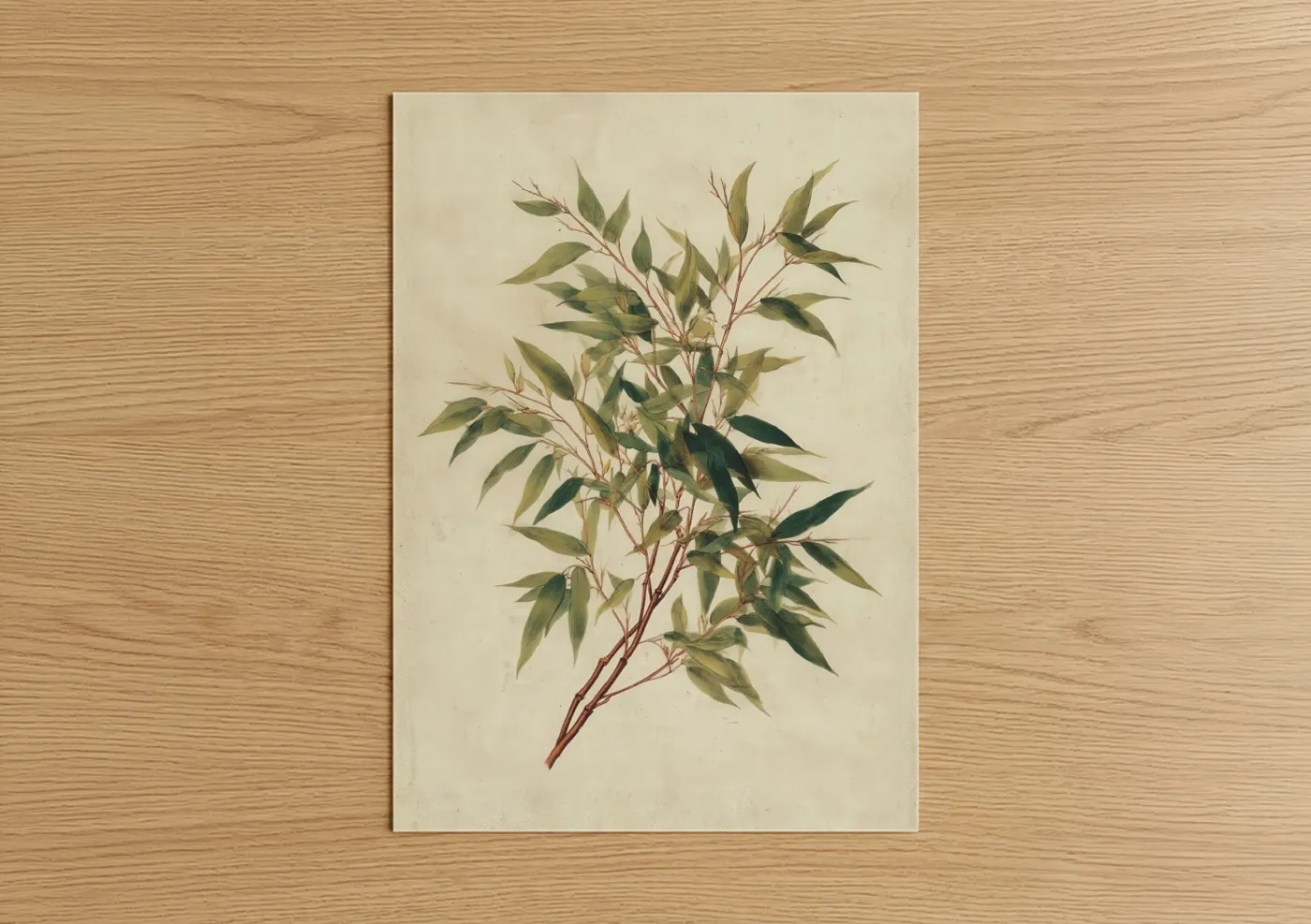 Delicate Bamboo Botanical Illustration Wall Art