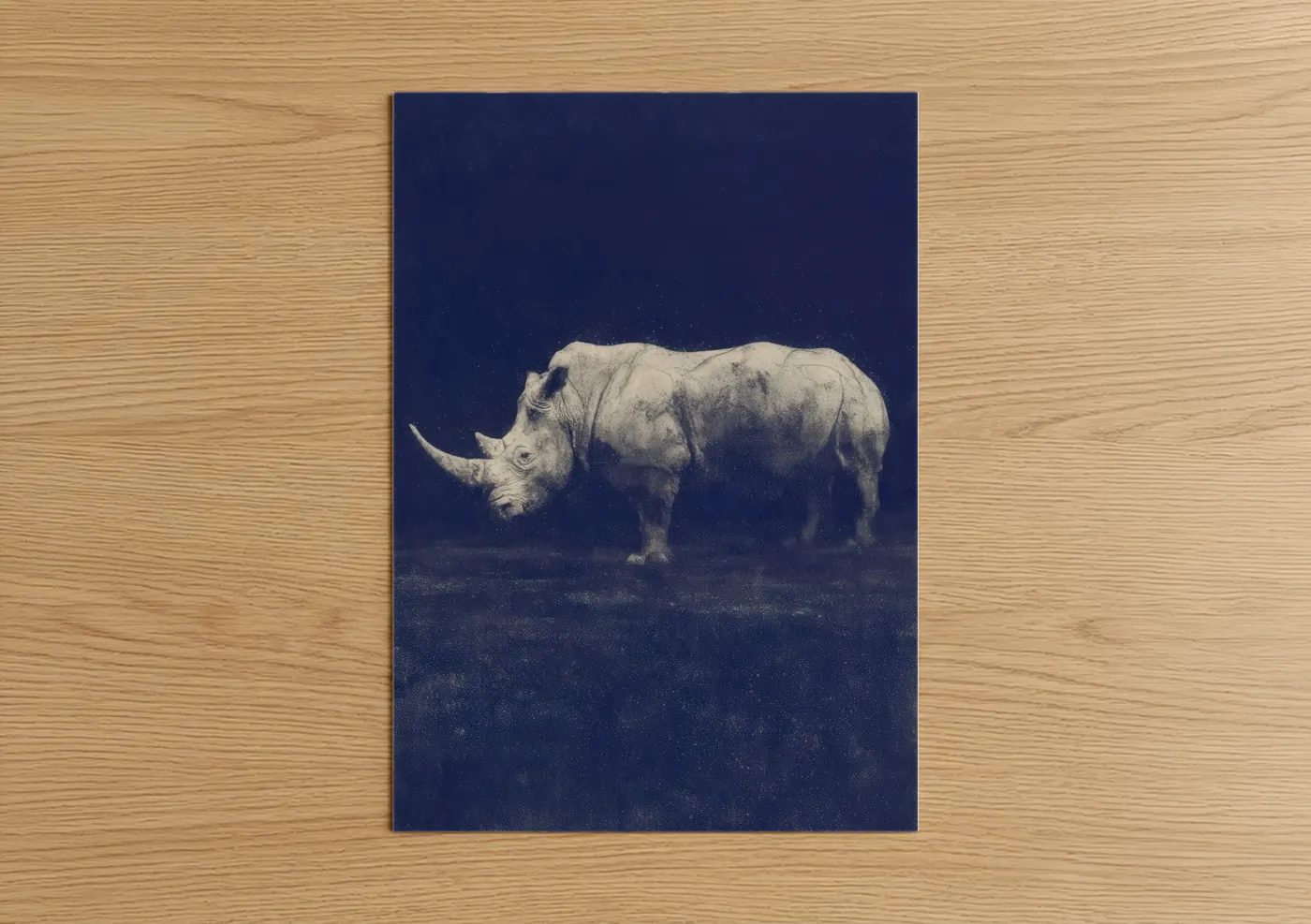 Midnight Rhino Wildlife Safari Wall Art