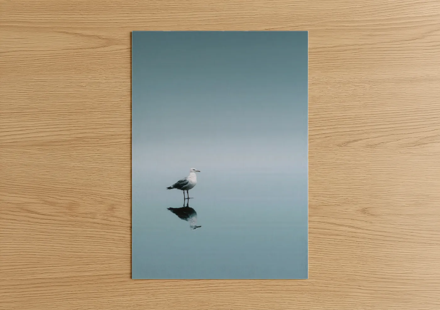 Art print on warm oak wood — blue and gray and gray palette — Solitary Seagull poster