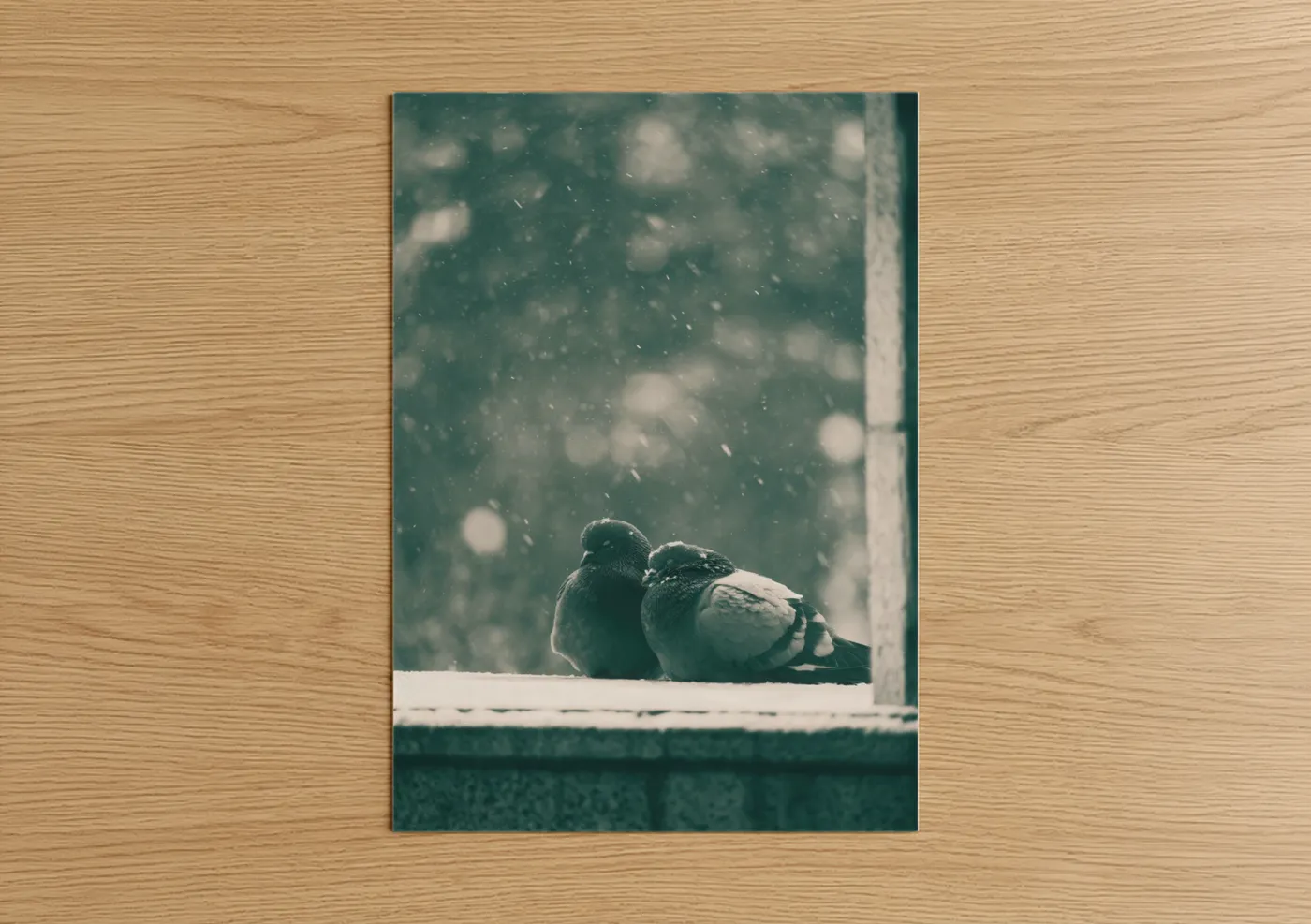 Snowy Pigeon Pair Winter Window Wall Art