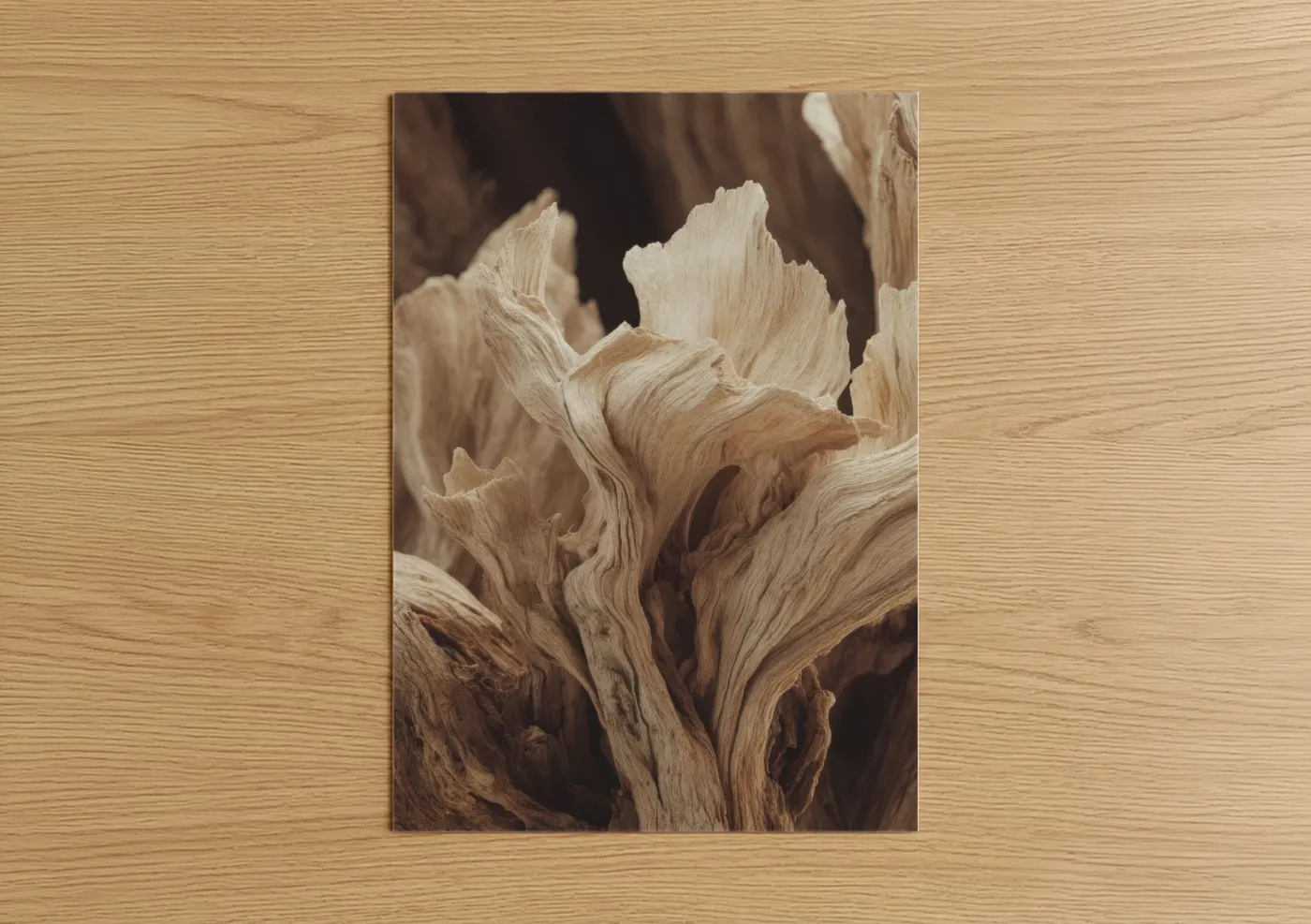Bleached Desert Wood Texture Close-up Wall Art