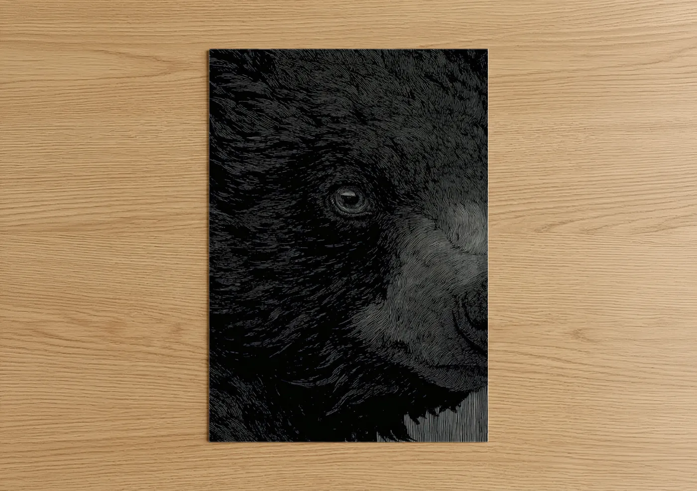 Sloth Bear Portrait Black and White Wall Art