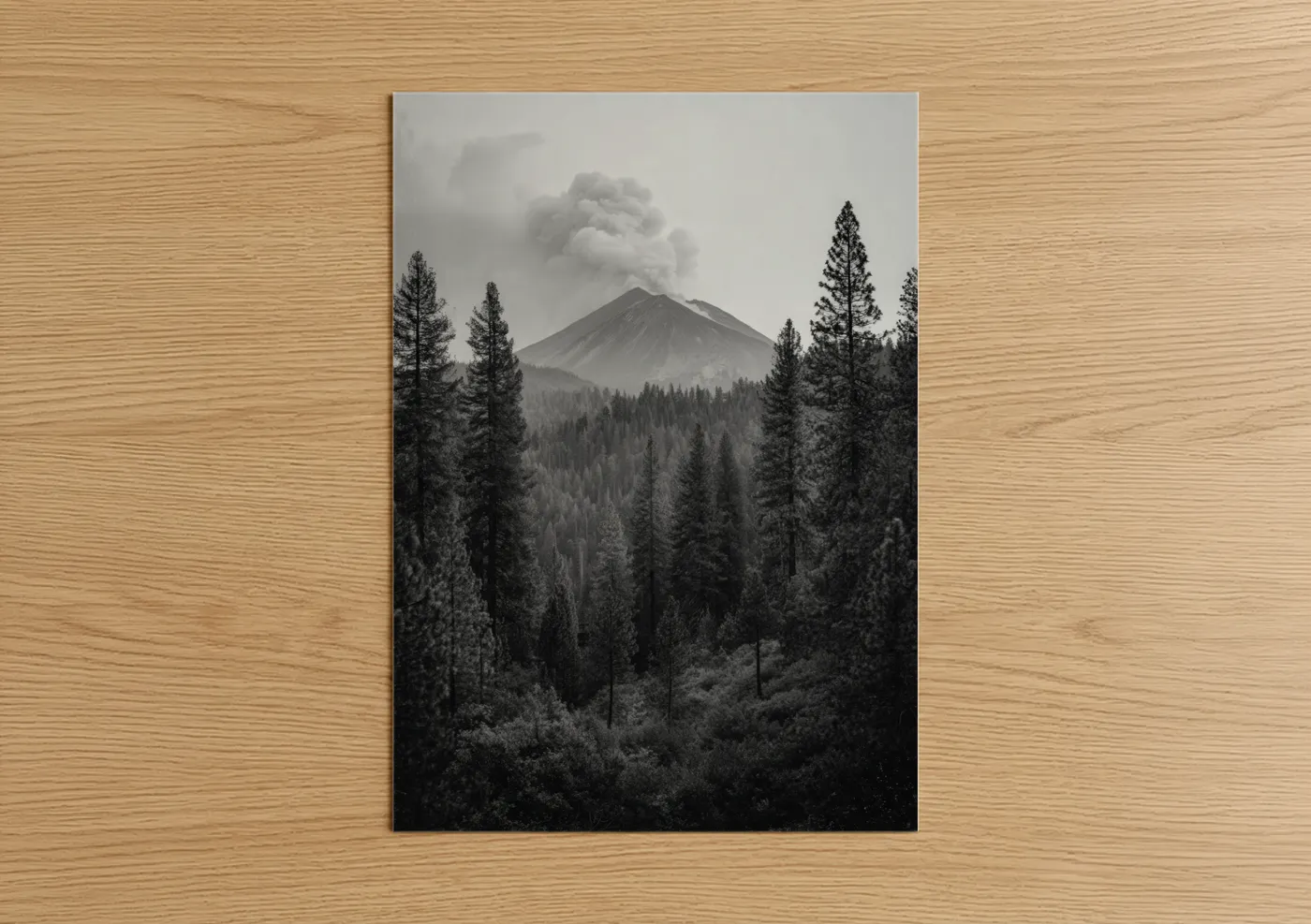 Smoking Volcano Forest Black White Wall Art
