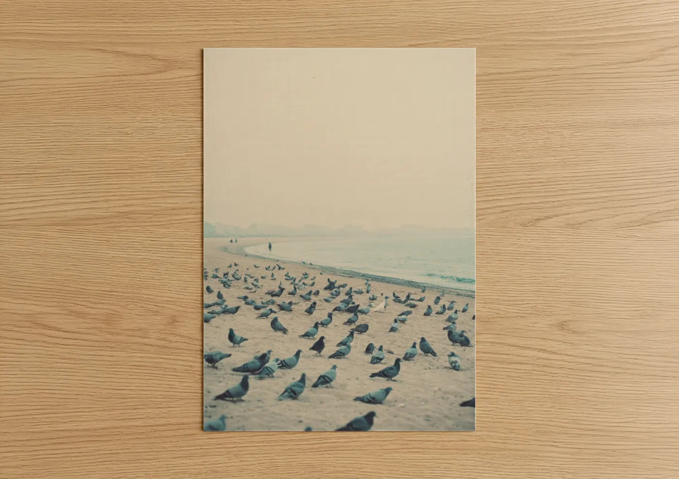 Peaceful Pigeon Flock Sandy Beach Wall Art