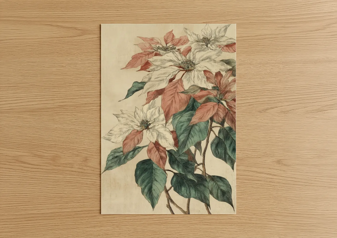 Festive Poinsettias Botanical Illustration Wall Art