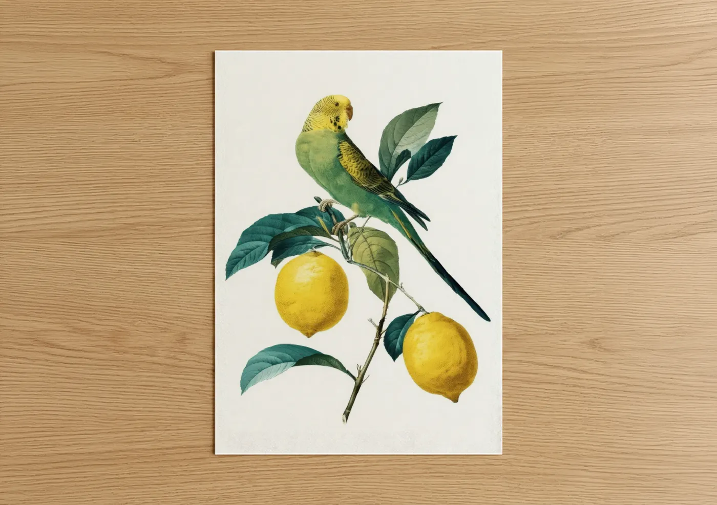 Yellow Budgerigar with Lemon Botanical Wall Art