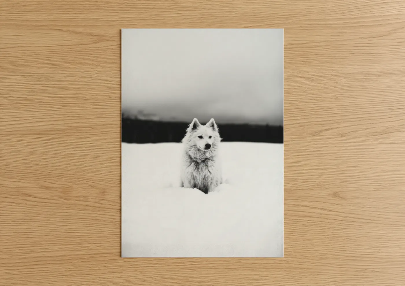 Art print on warm oak wood — black and white and gray palette — Snowy Spitz Portrait poster