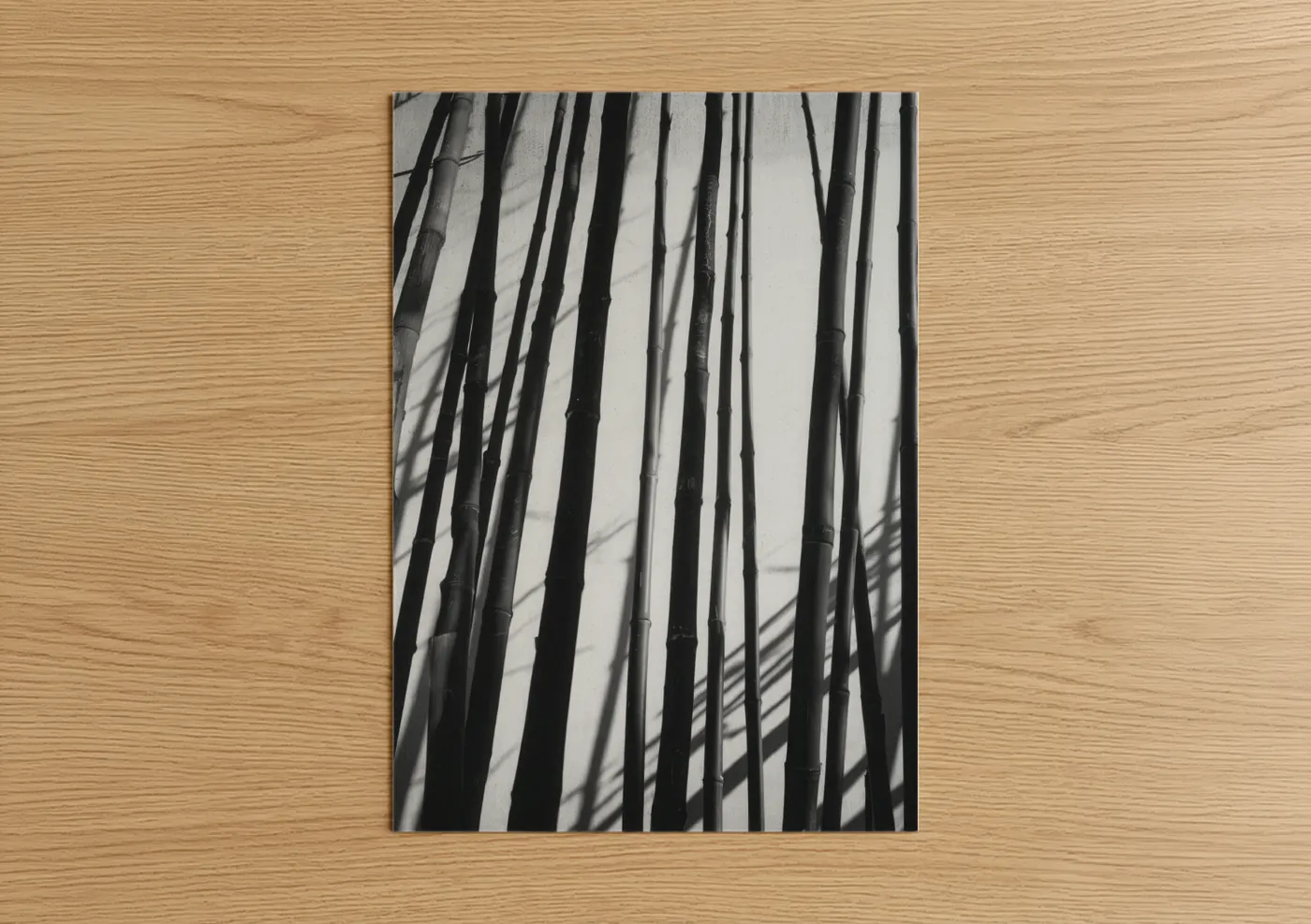 Art print on warm oak wood — black and white palette — Bamboo Shadows poster