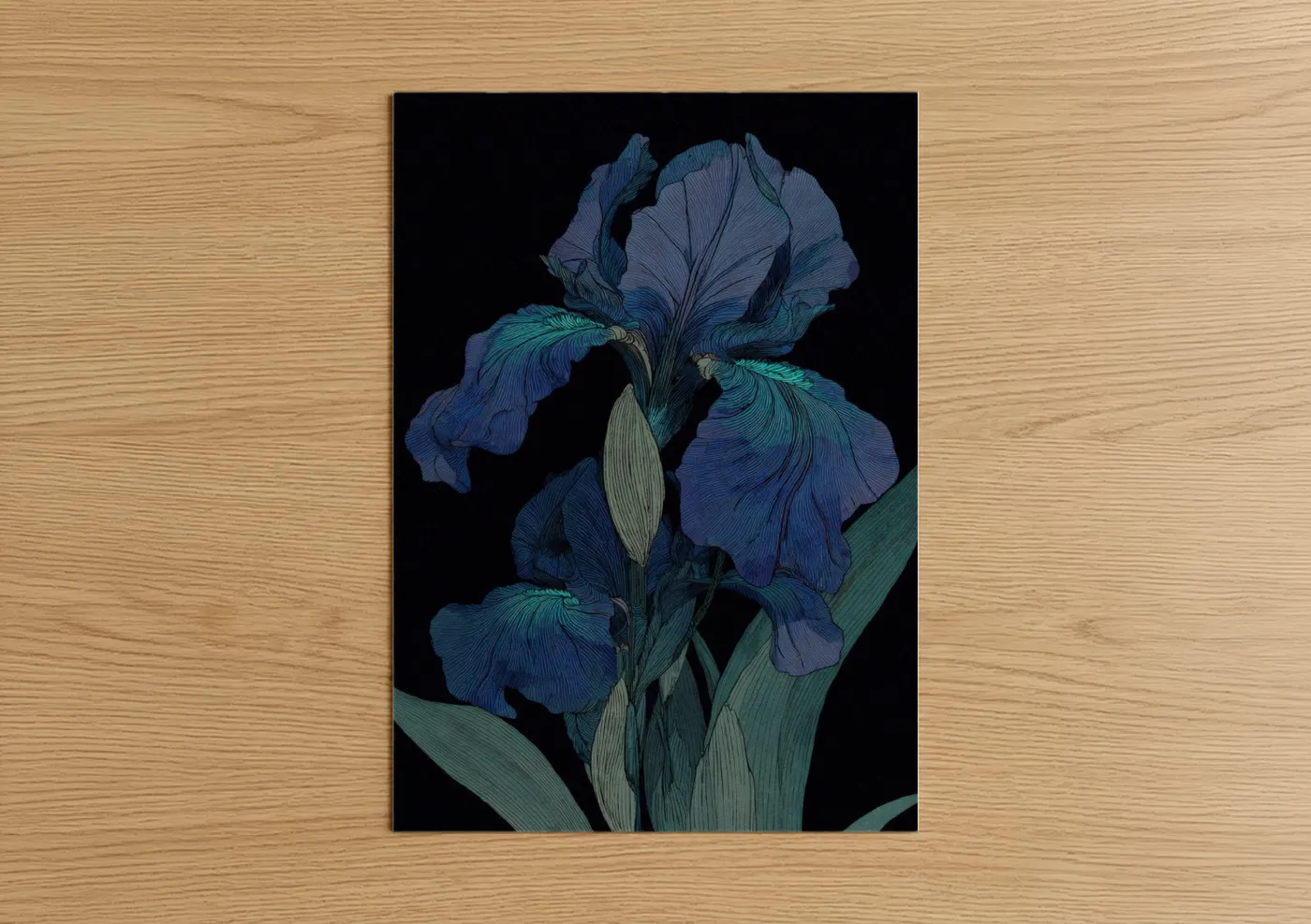 Midnight Iris Botanical Illustration Wall Art