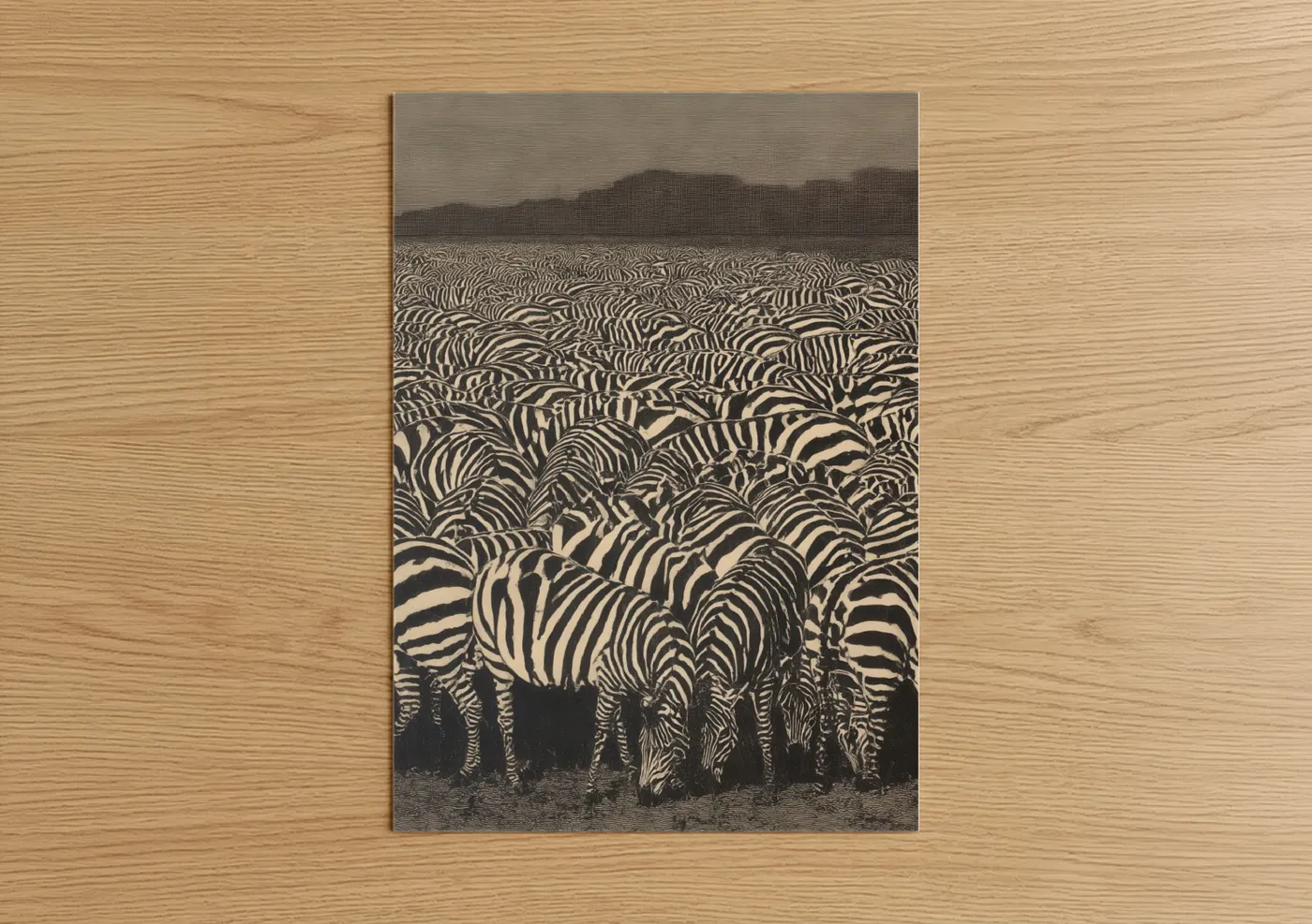 Grazing Zebra Herd Safari Wildlife Wall Art
