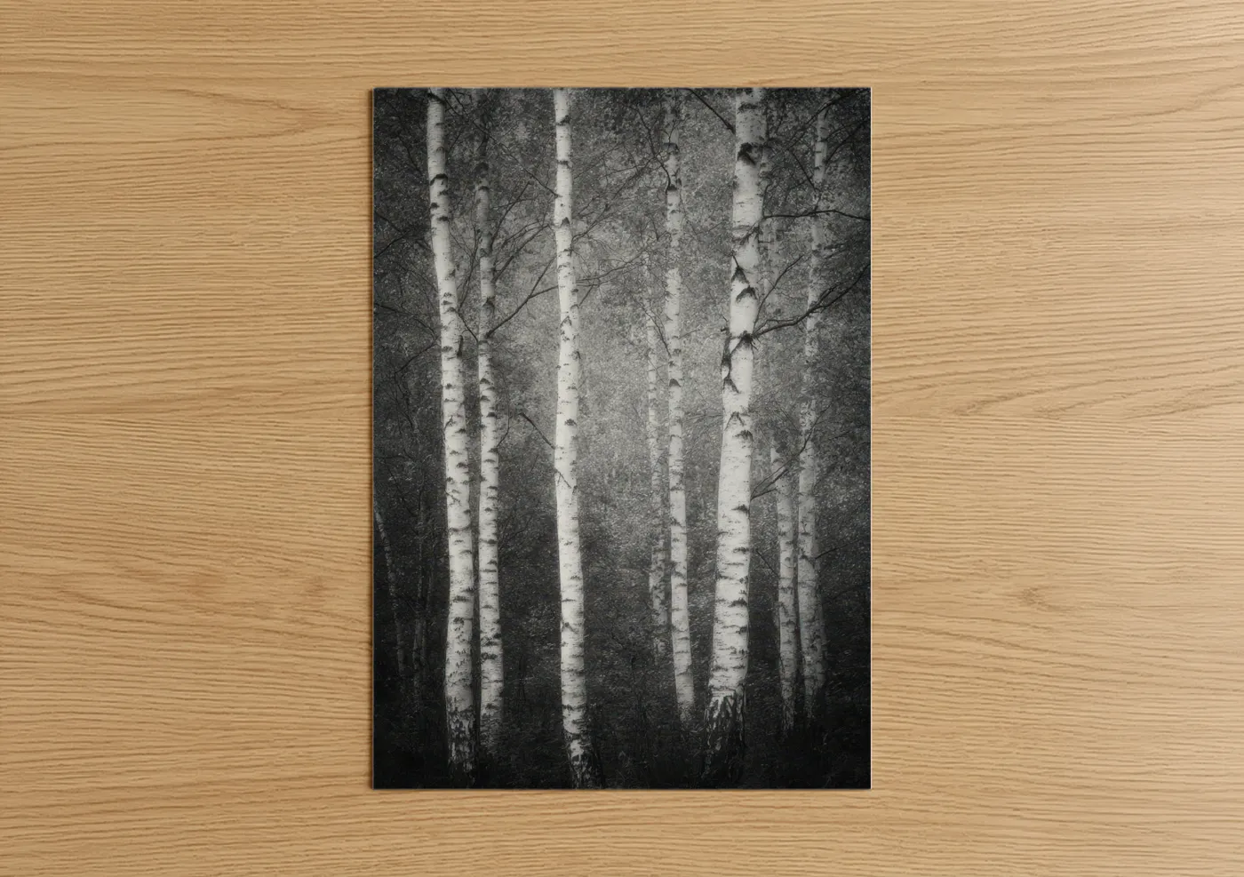 Art print on warm oak wood — black and white and gray palette — Misty Birch Forest poster