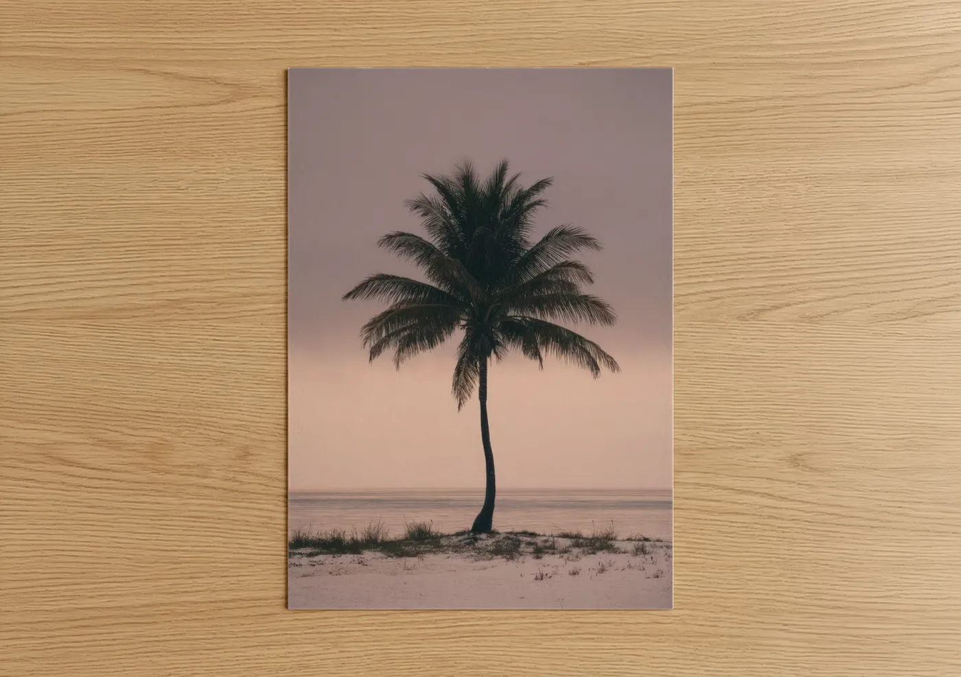 Solitary Palm Tree Sunset Beach Wall Art