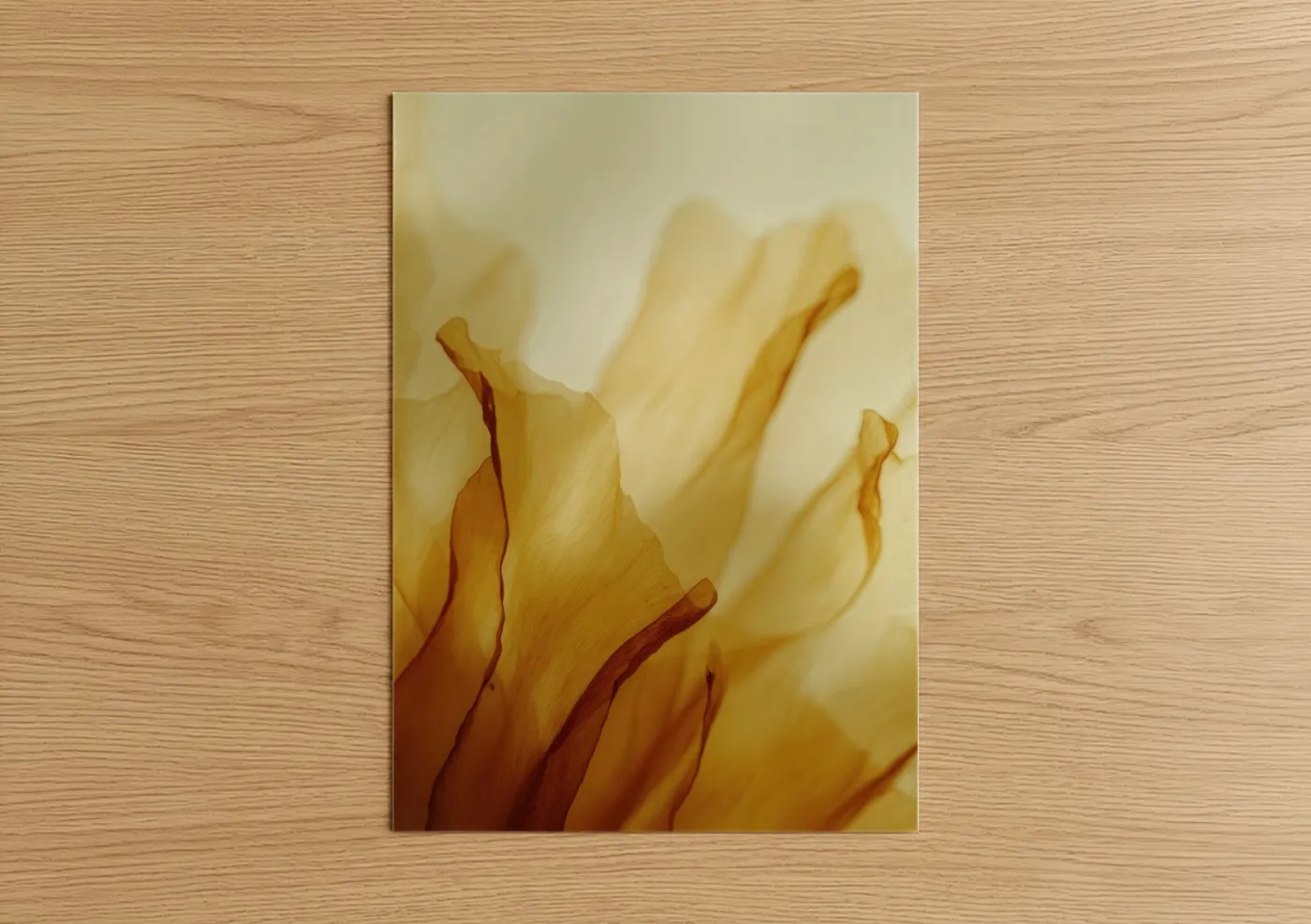 Golden Garlic Petals Close-up Photography Wall Art
