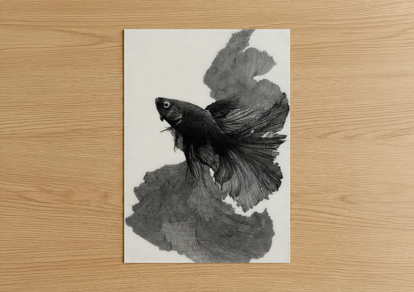 Flowing Betta Fish Black White Wall Art