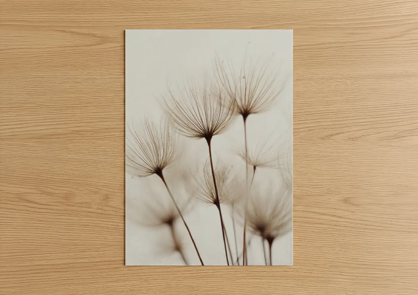 Ethereal Dandelion Seedheads Botanical Wall Art