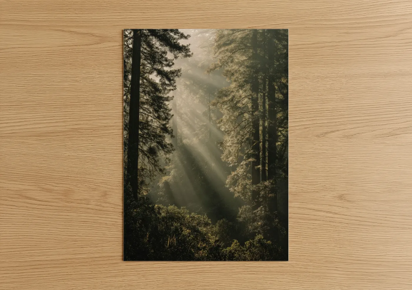 Art print on warm oak wood — gold and green palette — Misty Forest Sunrise poster