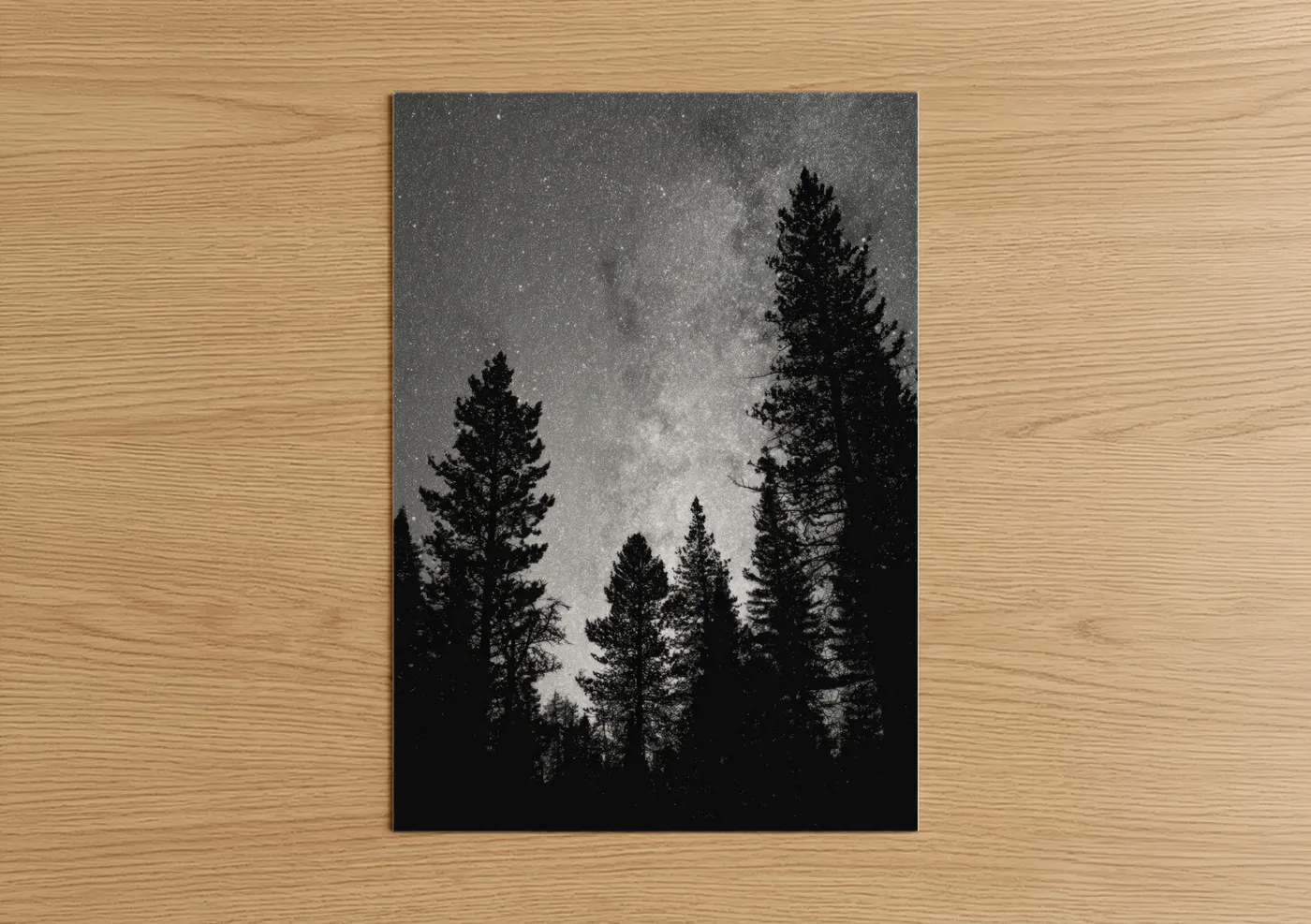 Starlit Forest Night Sky Milky Way Wall Art