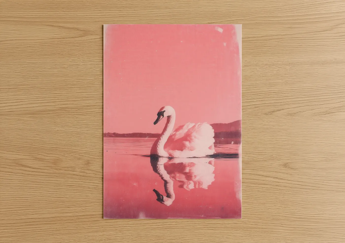 Art print on warm oak wood — pink and rose gold palette — Crimson Swan Reflection poster