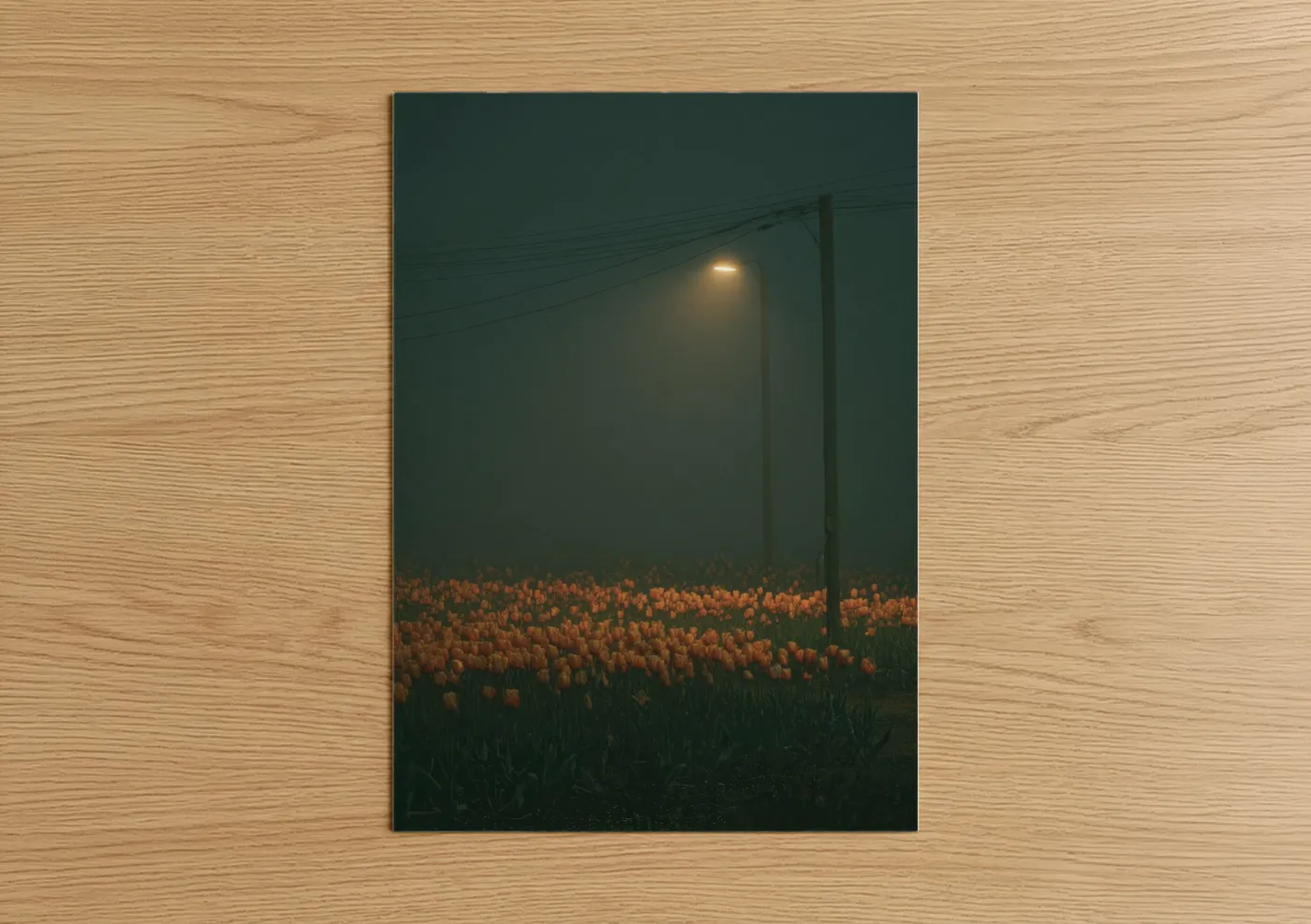 Misty Tulip Field Night Landscape Wall Art