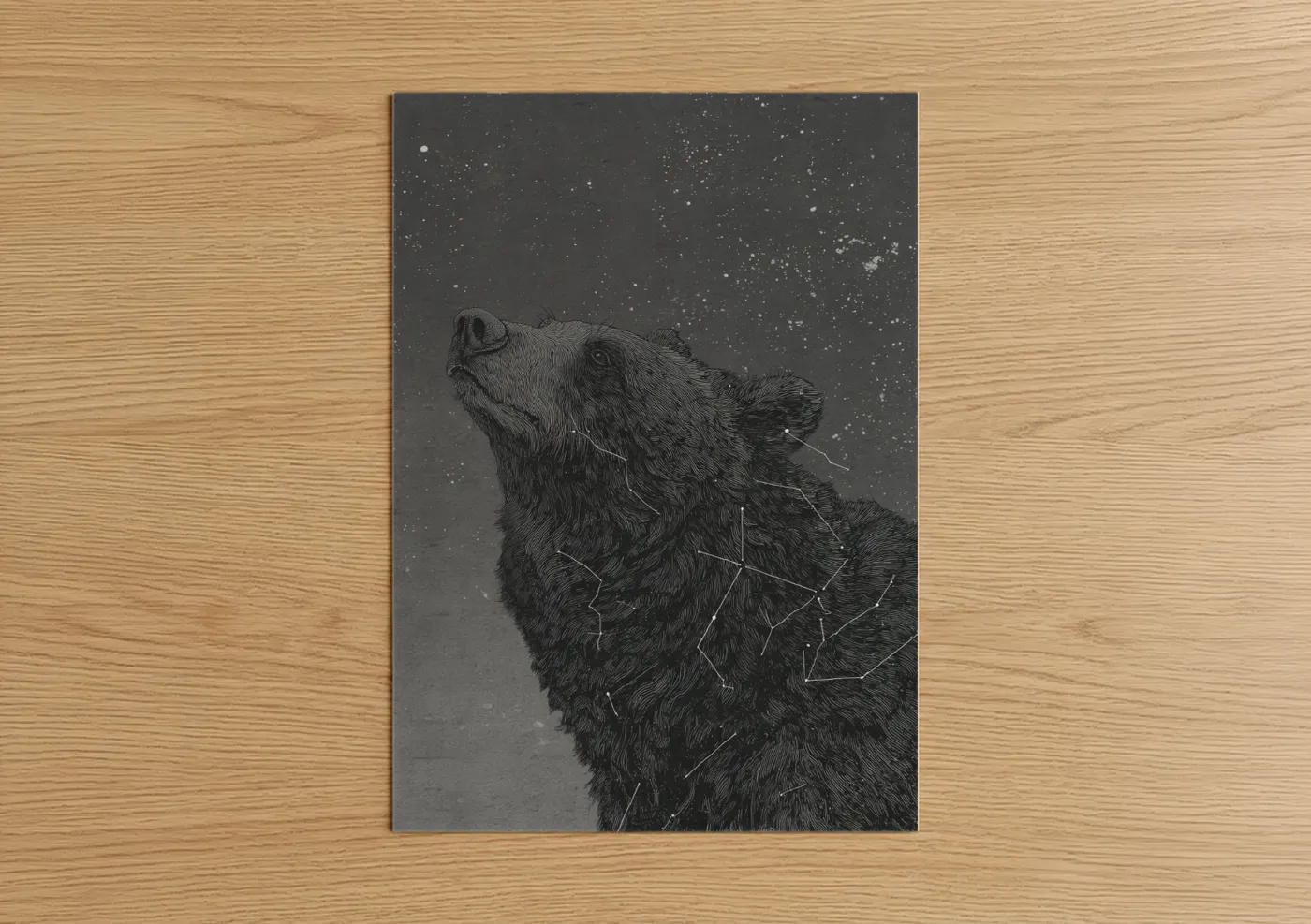 Grizzly bear art print on warm oak wood — black and white and gray palette — Stargazing Grizzly poster