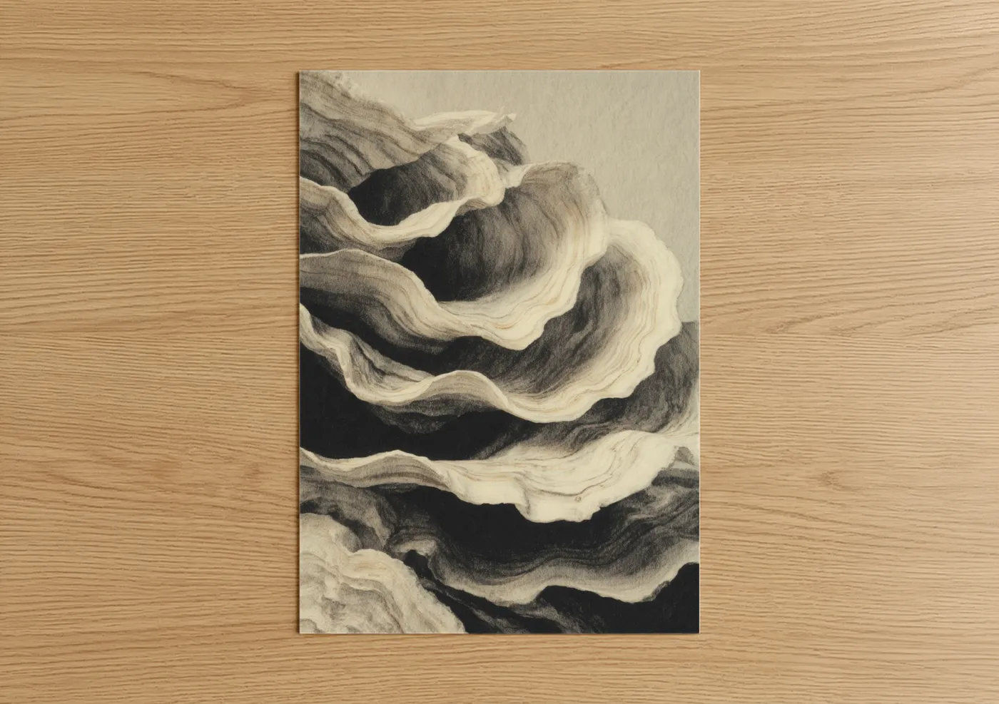 Monochrome Oyster Shell Drawing Wall Art