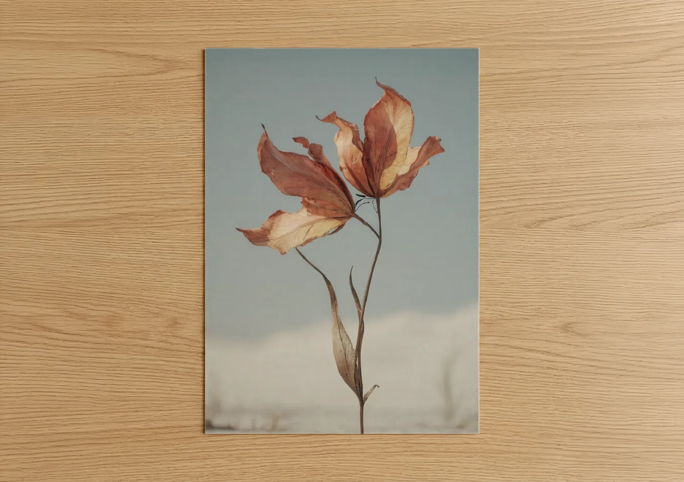 Faded Tulip Bloom Botanical Wall Art