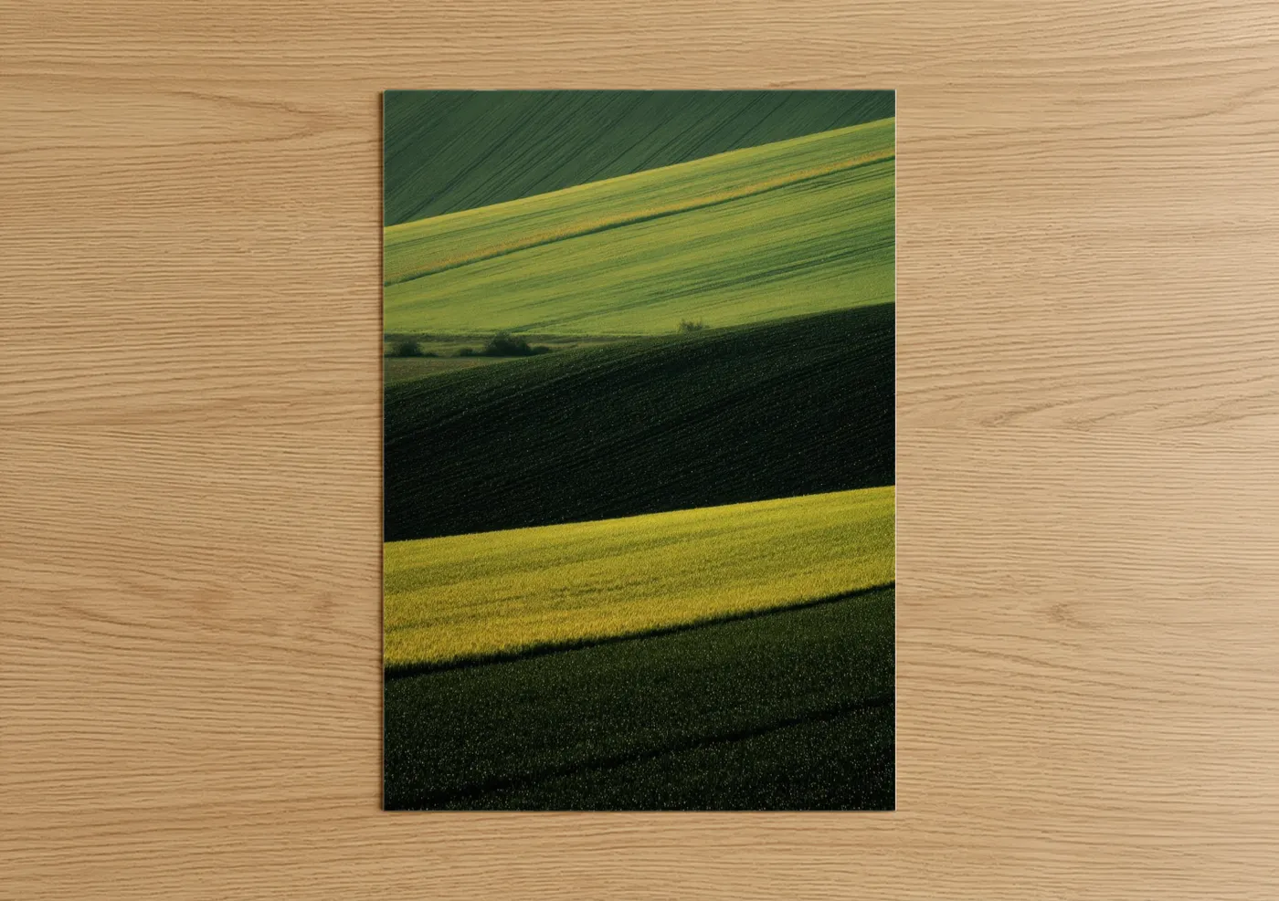 Green field art print on warm oak wood — green and gold palette — Rolling Green Stripes poster
