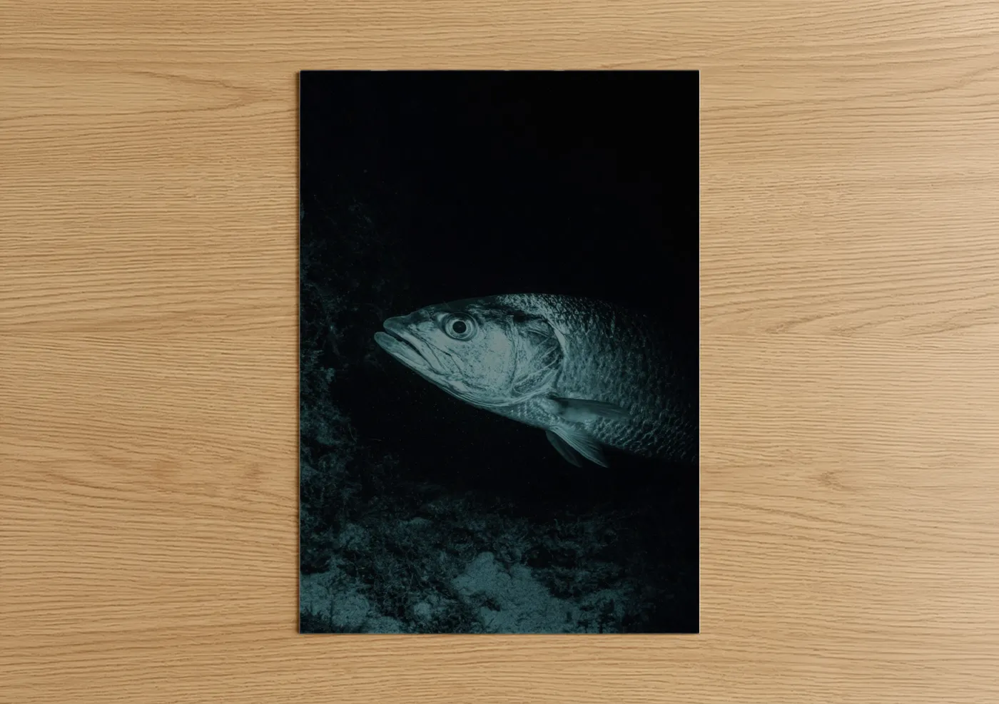 Art print on warm oak wood — black and white and dark blue palette — Deep Sea Tarpon poster
