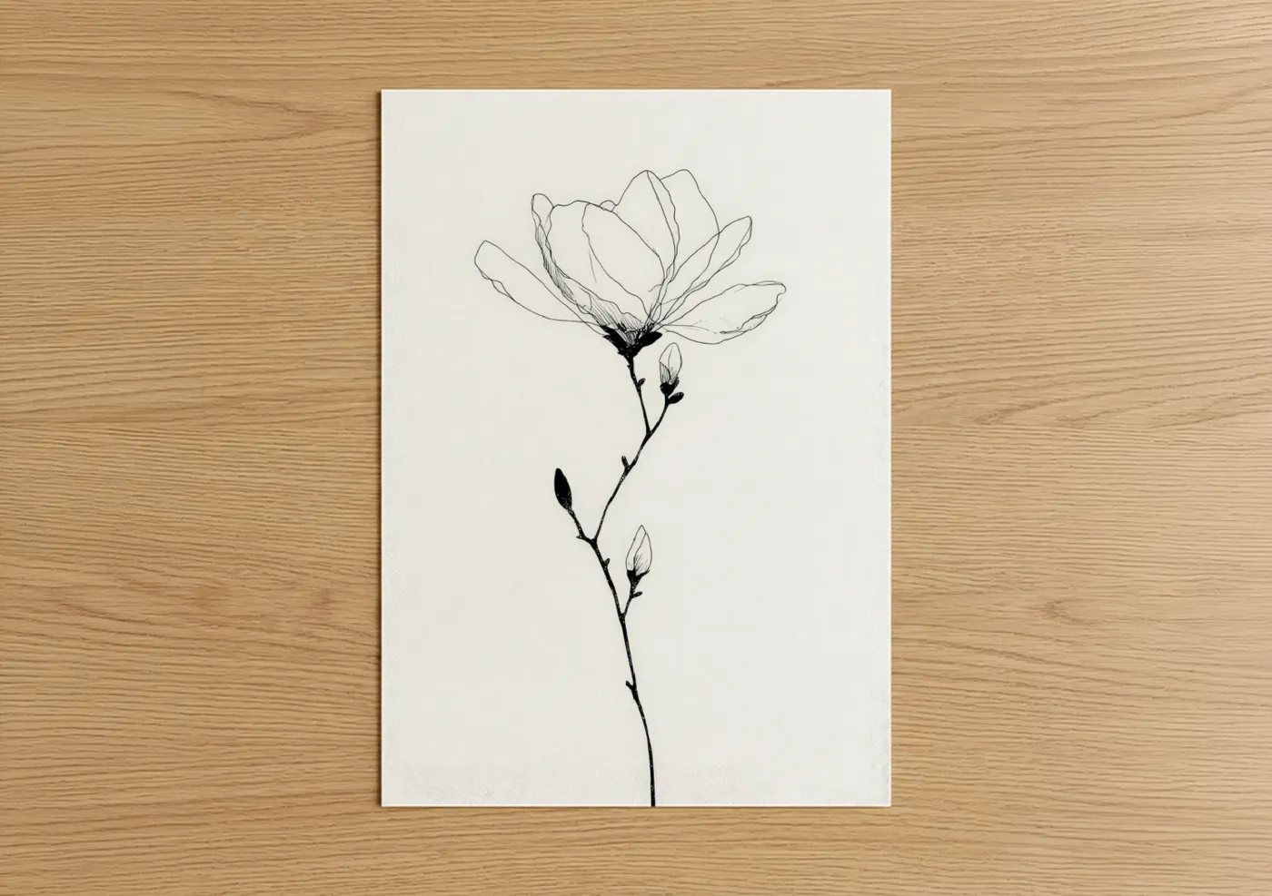 Delicate Magnolia Line Art Illustration Wall Art