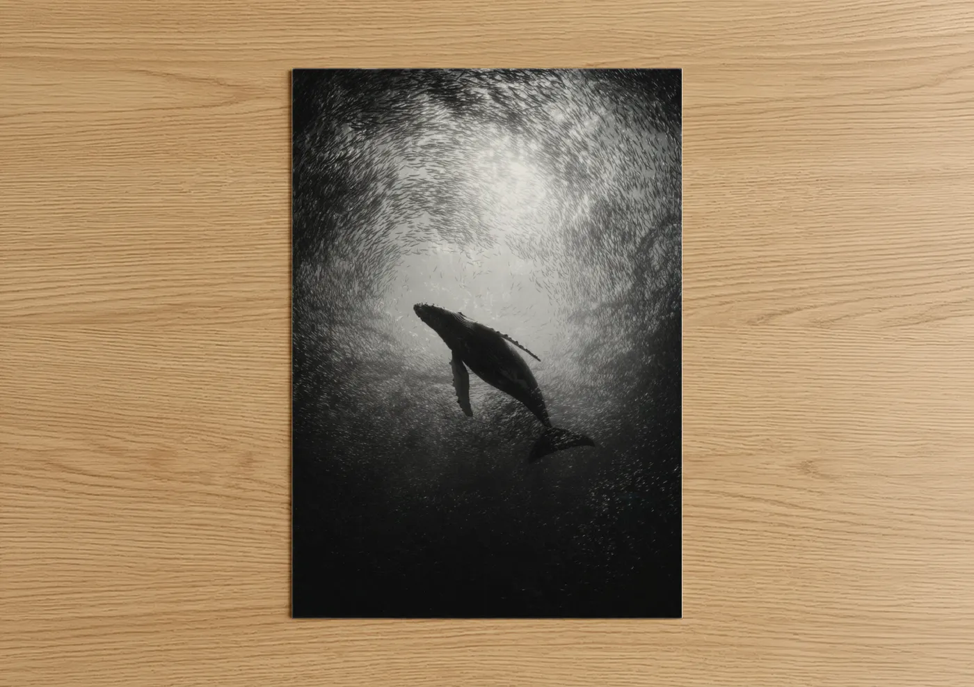 Humpback Whale Ascending Underwater Wall Art