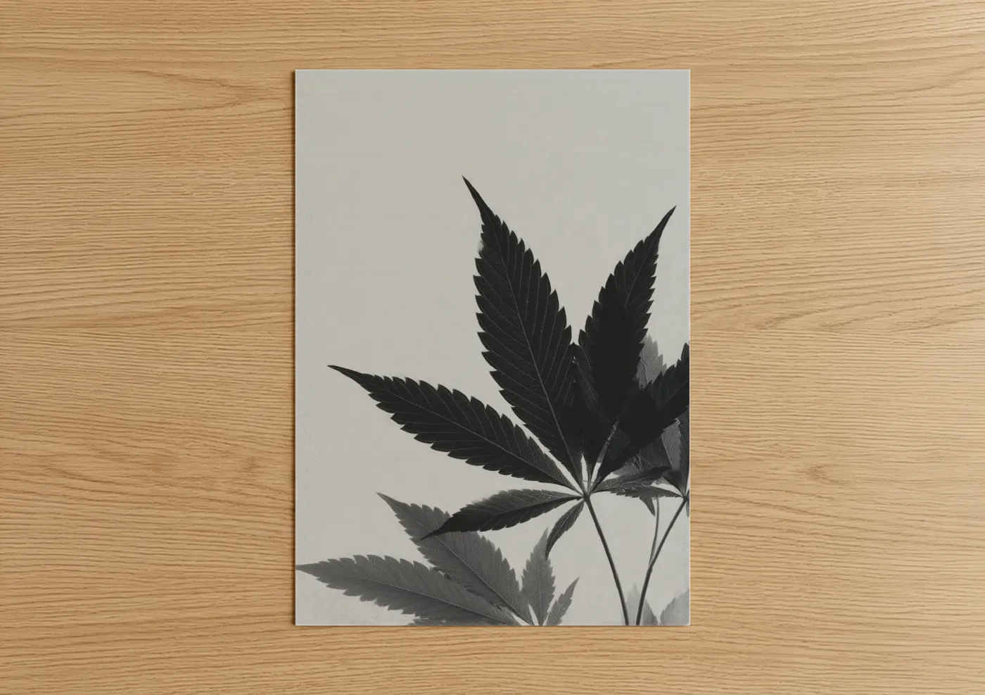 Minimalist Cannabis Leaf Black White Wall Art