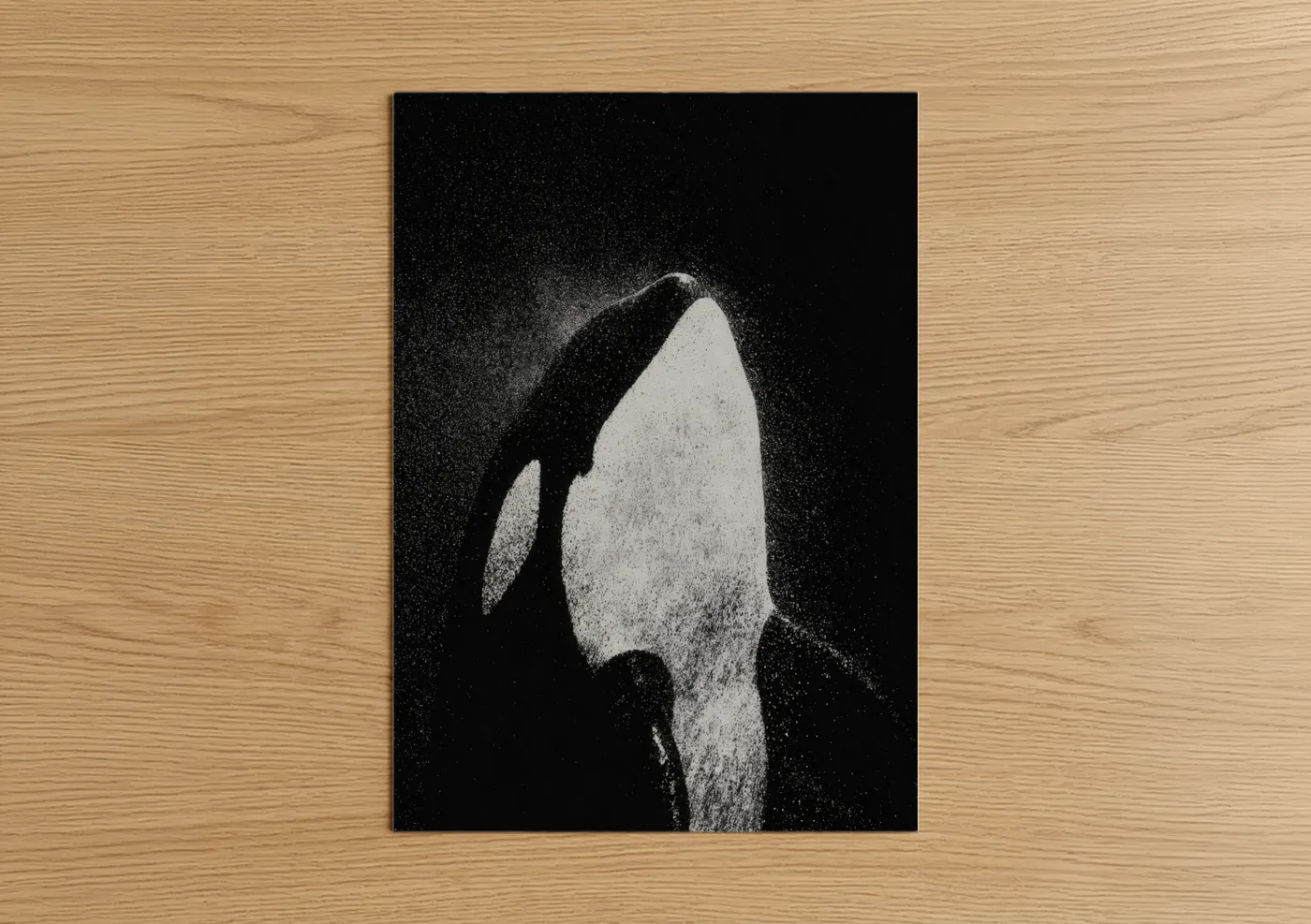 Orca whale art print on warm oak wood — black and white palette — Diving Orca poster