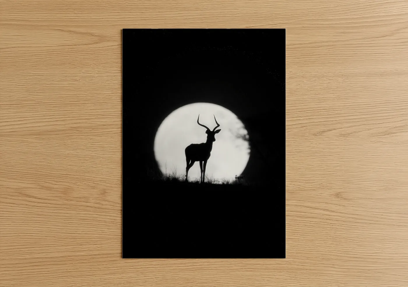 Art print on warm oak wood — black and white palette — Moonlit Antelope poster