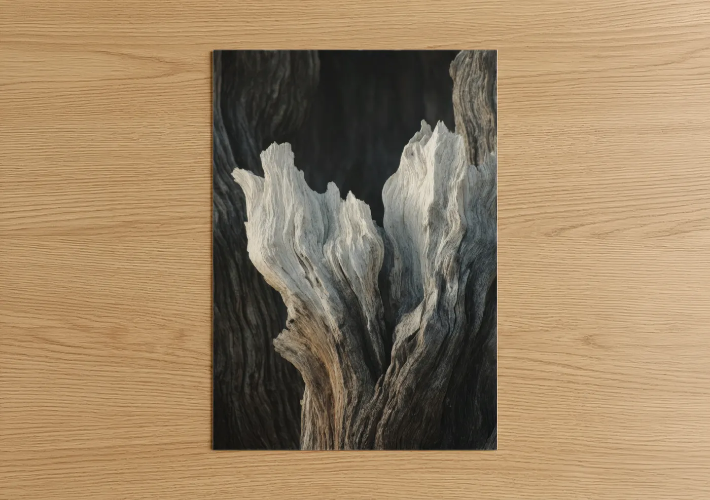 Savanna and desert trees art print on warm oak wood — black and white and gray palette — Weathered Desert Trees poster