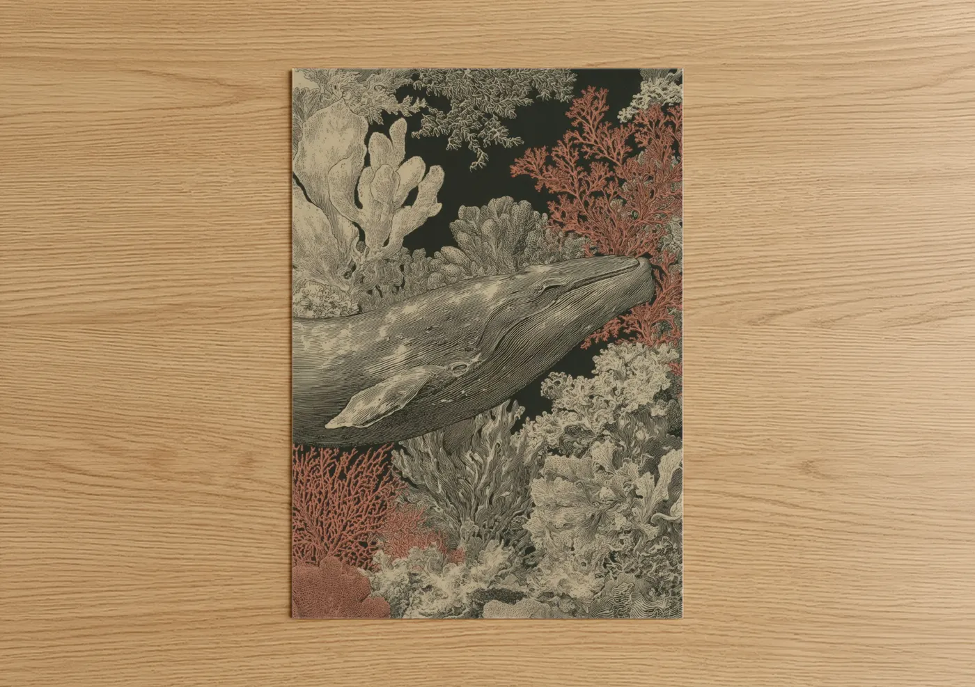 Gray Whale Coral Reef Illustration Wall Art
