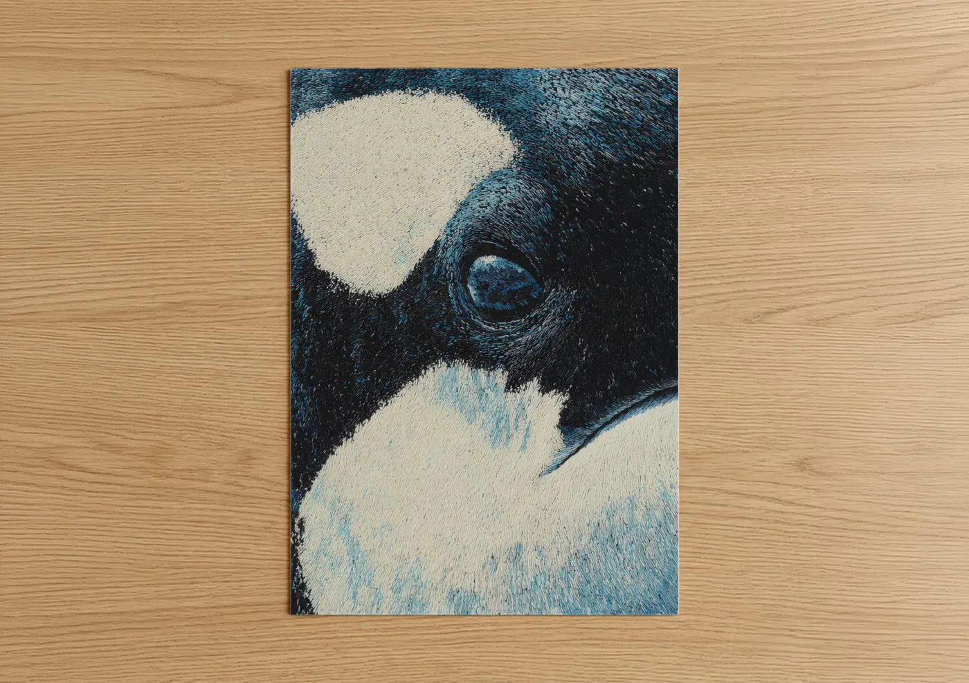 Orca whale art print on warm oak wood — blue and white and black palette — Orca Eye Close-up poster