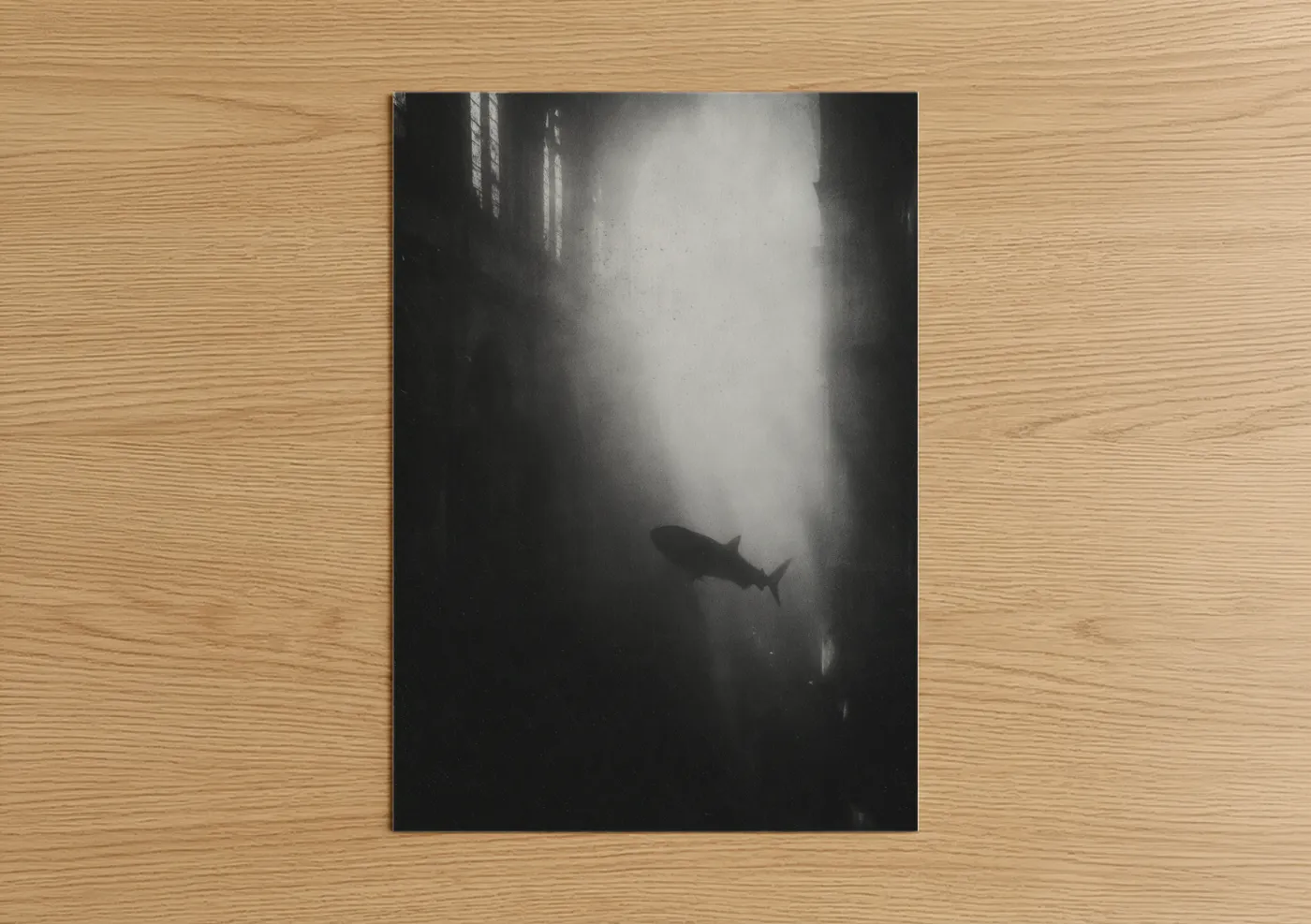 Ethereal Whale Shark Underwater Photography Wall Art