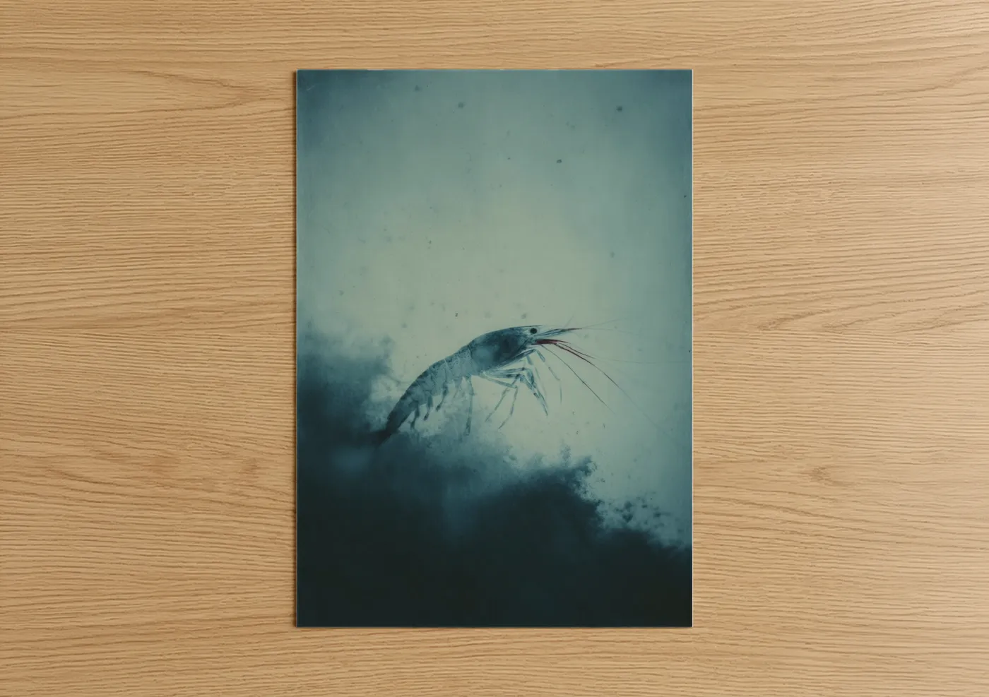 Ethereal Shrimp Sea Life Watercolor Wall Art