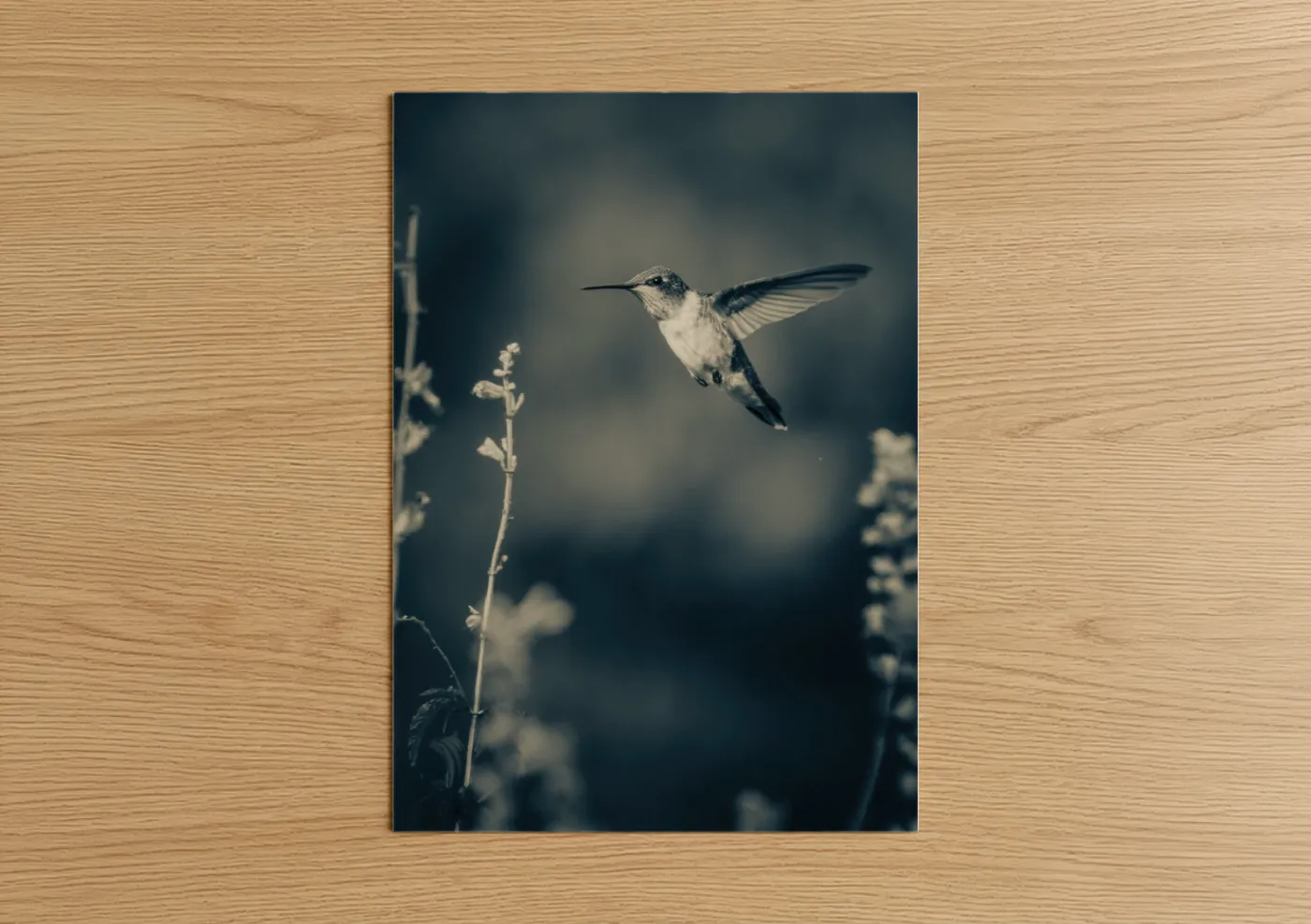 Frosted Hummingbird Winter Flight Photography Wall Art