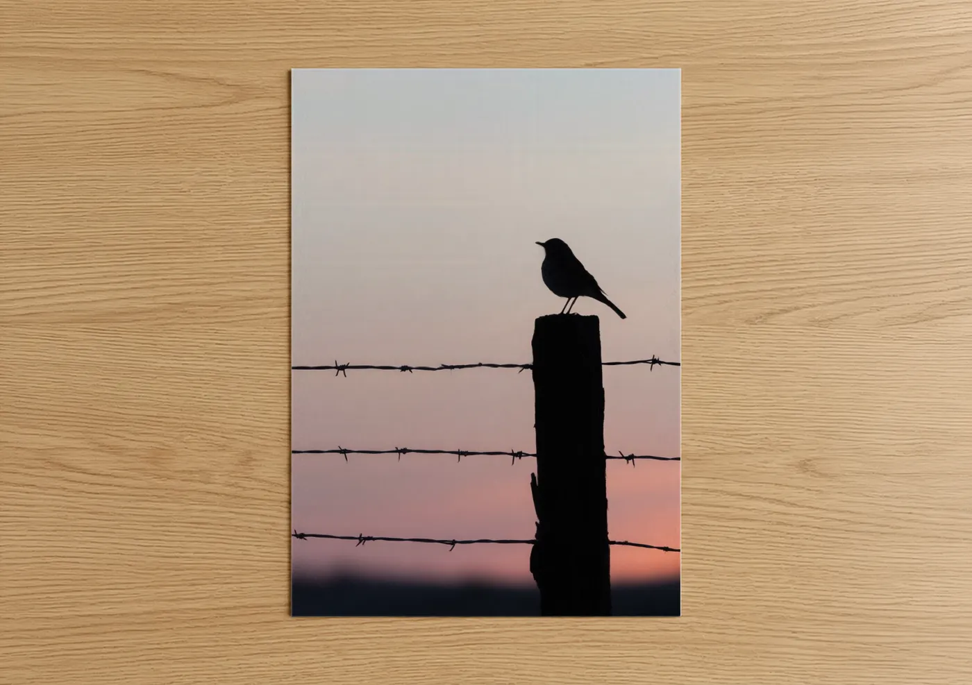 Art print on warm oak wood — salmon pink and dove gray palette — Sunset Thrush poster