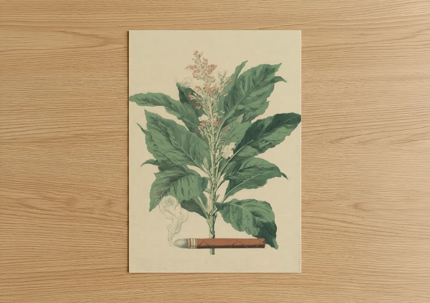 Vintage Tobacco Plant Cigar Illustration Wall Art