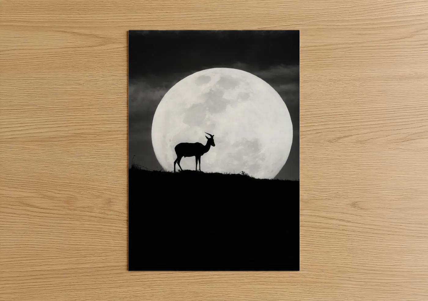 Moonlit Antelope Silhouette Wildlife Wall Art