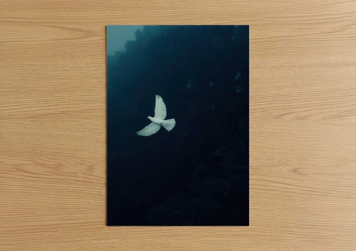 Art print on warm oak wood — white and teal palette — Ethereal Dove poster