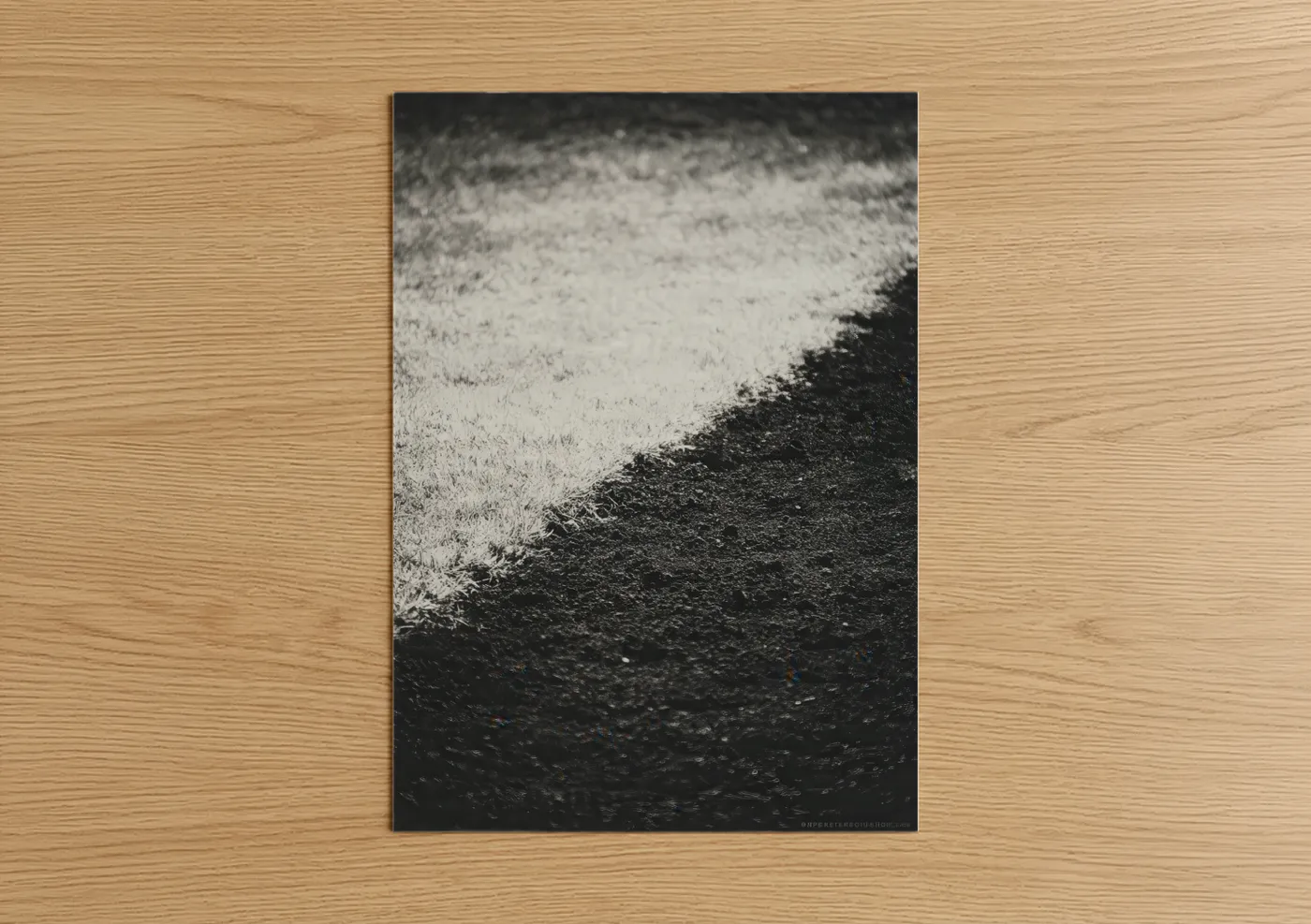 Stadiums and fields art print on warm oak wood — black and white palette — Athletic Field Contrast poster