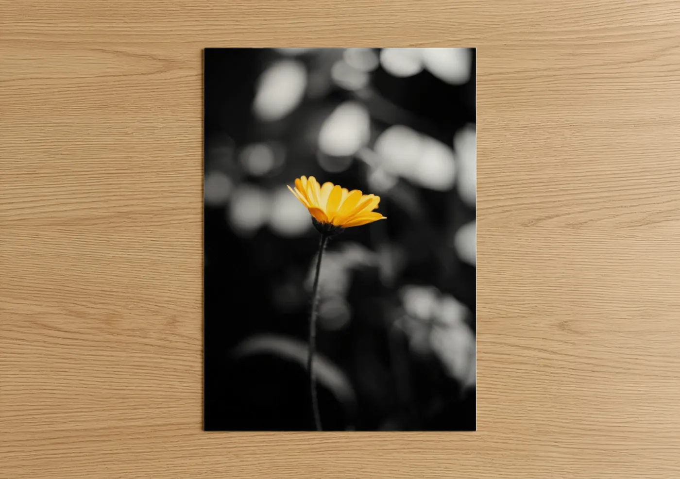 Abstract flower art print on warm oak wood — yellow gold and black and white palette — Golden Bloom Focus poster