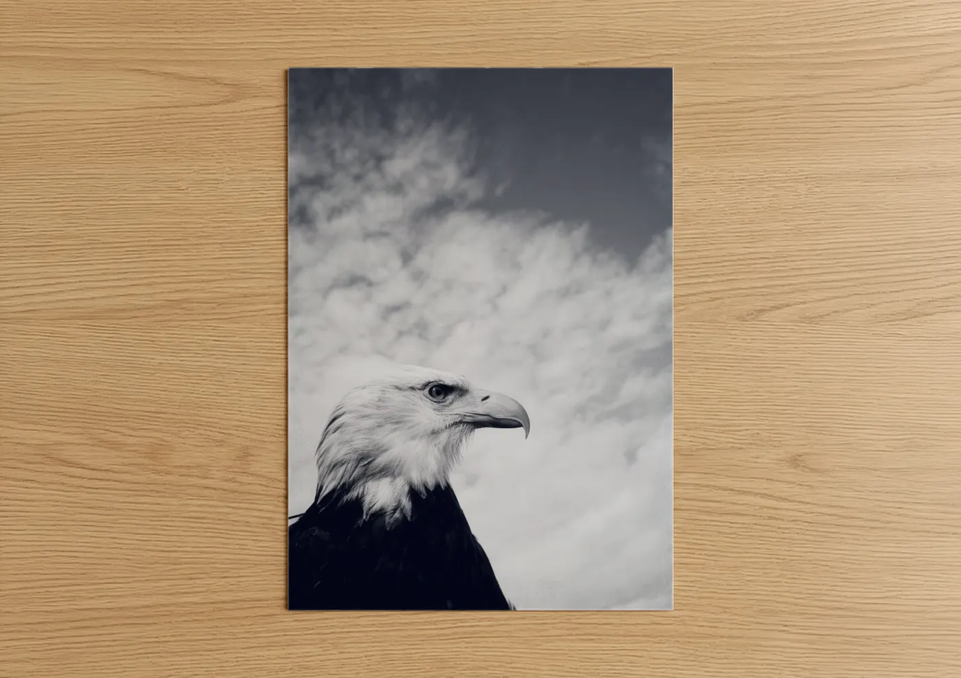 Art print on warm oak wood — black and white and gray palette — Skyward Eagle poster