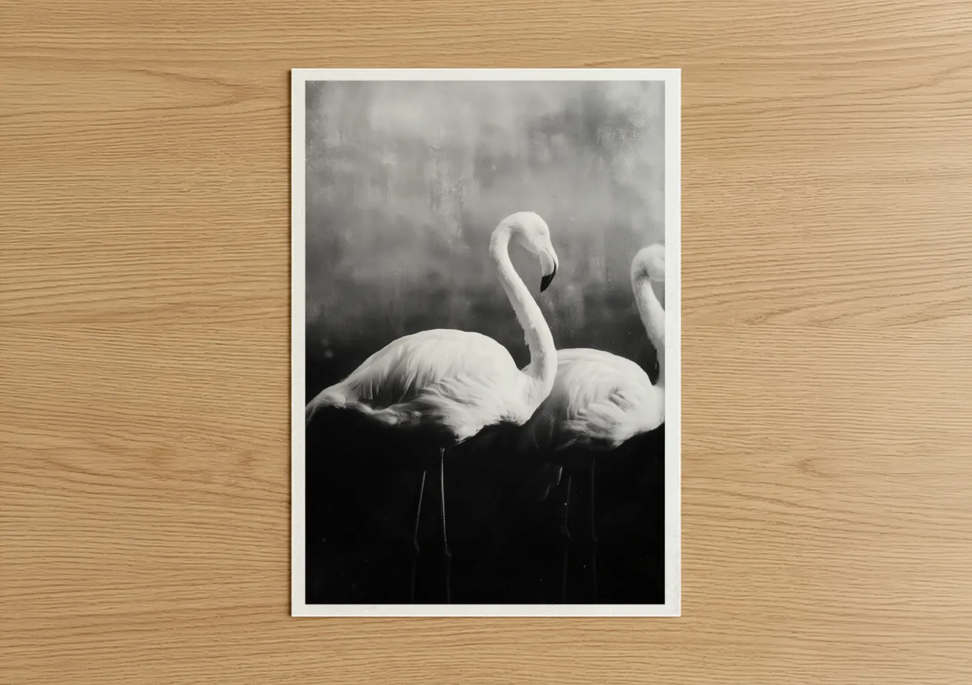 Black and White Flamingo Pair Mist Wall Art