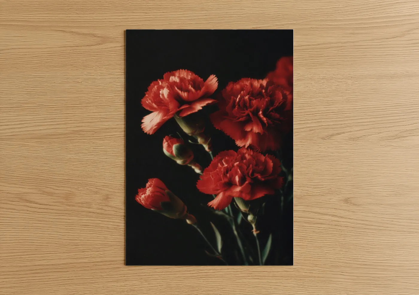 Crimson Carnation Cluster Photography Wall Art