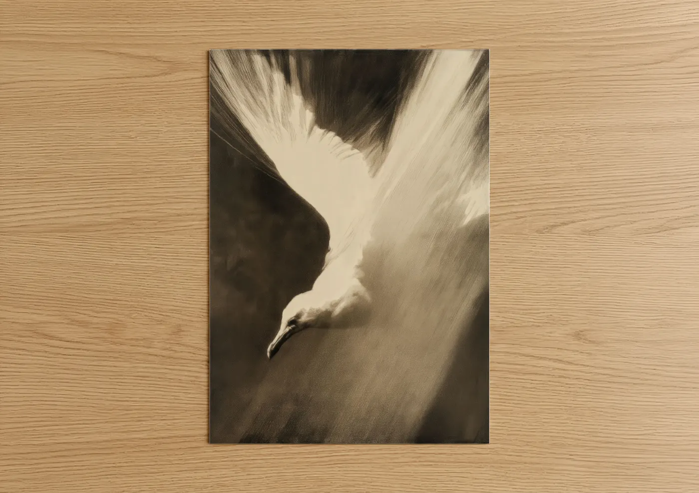Windswept Seagull in Flight Sketch Wall Art