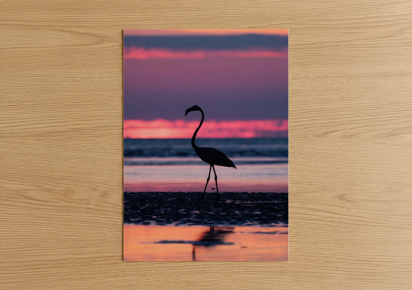 Swan Silhouette Beach Sunset Wall Art